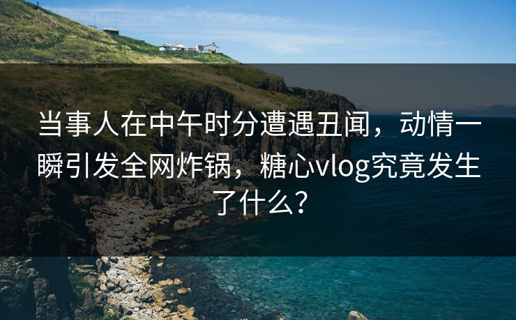 当事人在中午时分遭遇丑闻，动情一瞬引发全网炸锅，糖心vlog究竟发生了什么？