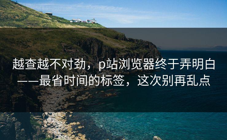 越查越不对劲，p站浏览器终于弄明白——最省时间的标签，这次别再乱点